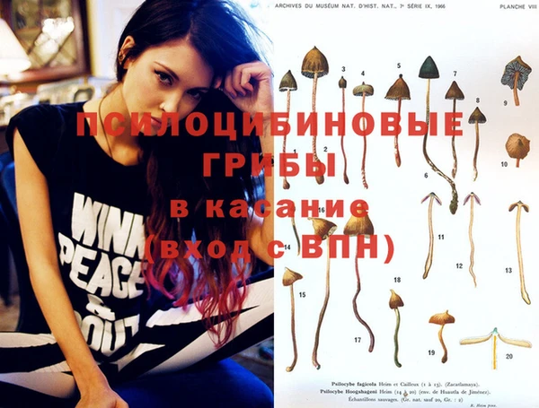 прущие крисы Белоозёрский