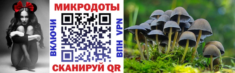 ОМГ ОМГ онион  Курильск  Псилоцибиновые грибы Magic Shrooms 