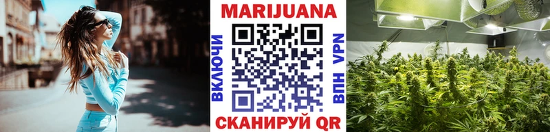 Канабис VHQ  MEGA как войти  Курильск  цена  